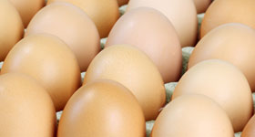 Green Market Eggs
